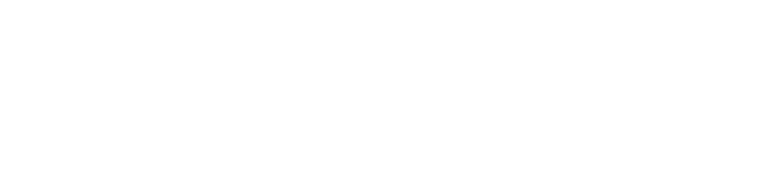 Logo CNV Telecom